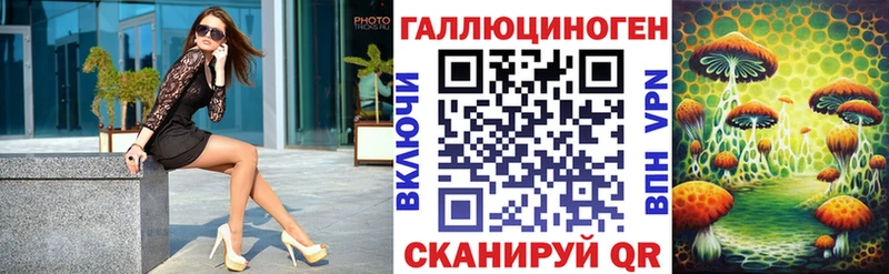 Галлюциногенные грибы Psilocybine cubensis Бердск